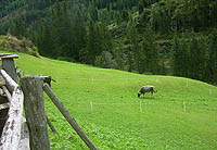 The Lippenhof farm with vacation apartments is situated in a sunny location in the Defereggen valley in Eastern Tyrol